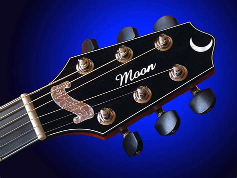 How much is an electric guitar, and can it serenade the moon?