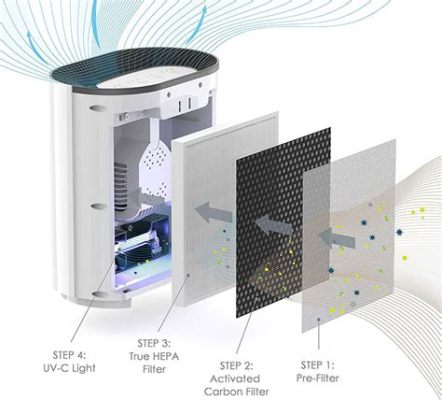 How to Know if Air Purifier is Working: Unraveling the Mysteries of Clean Air and Quantum Physics