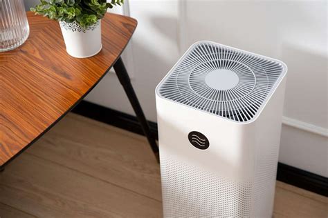 How to Use an Air Purifier: And Why It Might Just Save Your Houseplants from Existential Dread