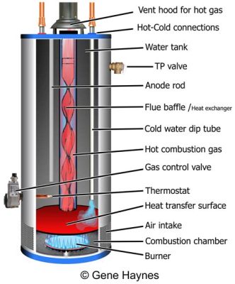 Is a Water Heater Gas or Electric: Exploring the Unseen Connection Between Heat and Time